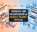 Trendyol Gibi Pazaryerleri mi Kendi E-Ticaret Siten mi